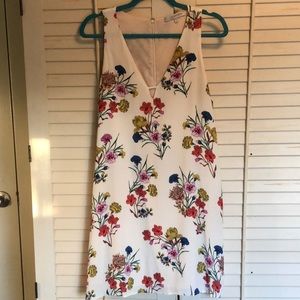 Beautiful lavender brown shift dress